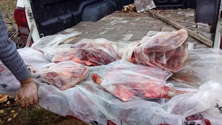 Kaçak avcılara 31 bin lira ceza kesildi