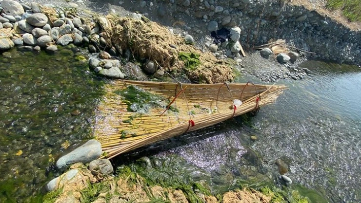 Kaçak avlananların kurduğu tuzaklar imha edildi