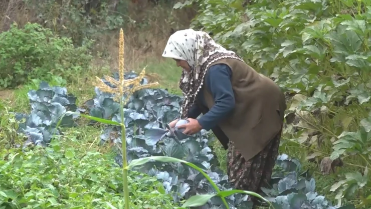 Kadın çiftçi tek başına 14 çeşit ürün yetiştiriyor