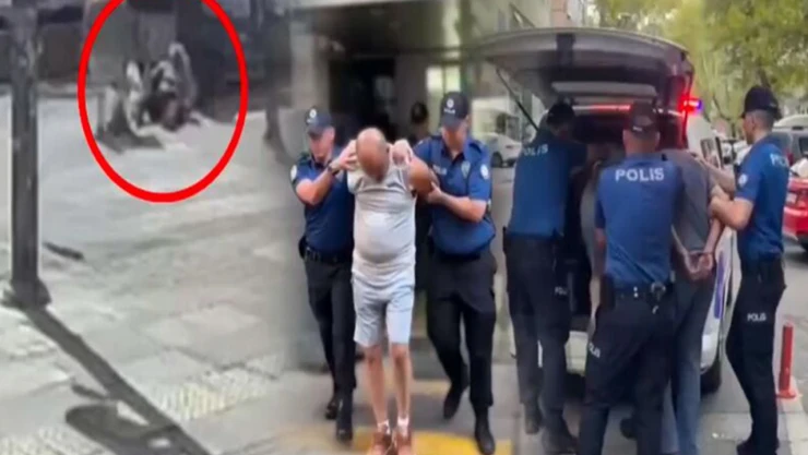 Kadın yayayı darbeden sürücü ile arkadaşı gözaltına alındı