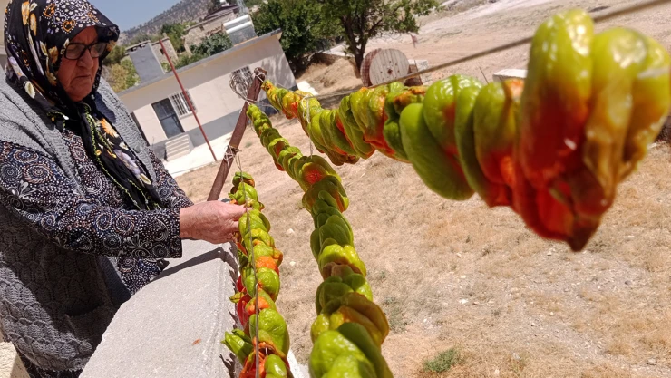 Kadınların kışlık yiyecek mesaisi sürüyor