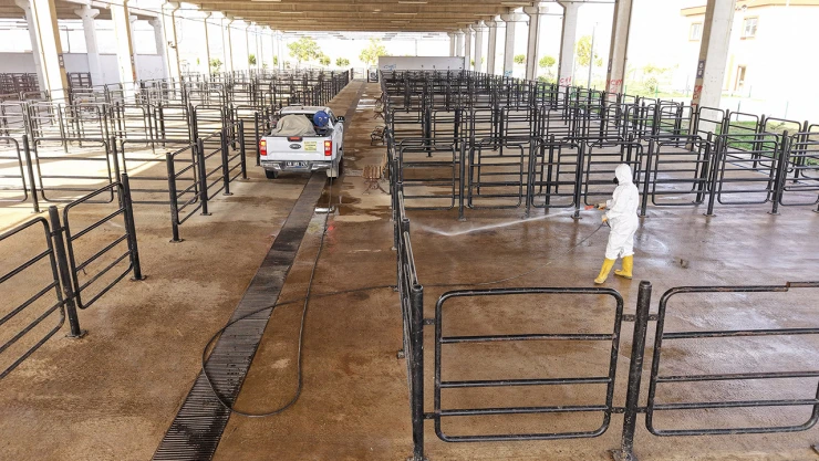 Kahramanmaraş Canlı Hayvan Pazarı'nda üst düzey titizlik