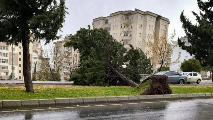 Kahramanmaraş'ta 3 ilçe için fırtına alarmı berildi
