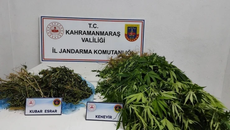 Kahramanmaraş'ta çeşitli suçlardan aranan 14 şüpheli tutuklandı