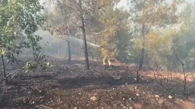 Kahramanmaraş'ta çıkan orman yangını söndürüldü