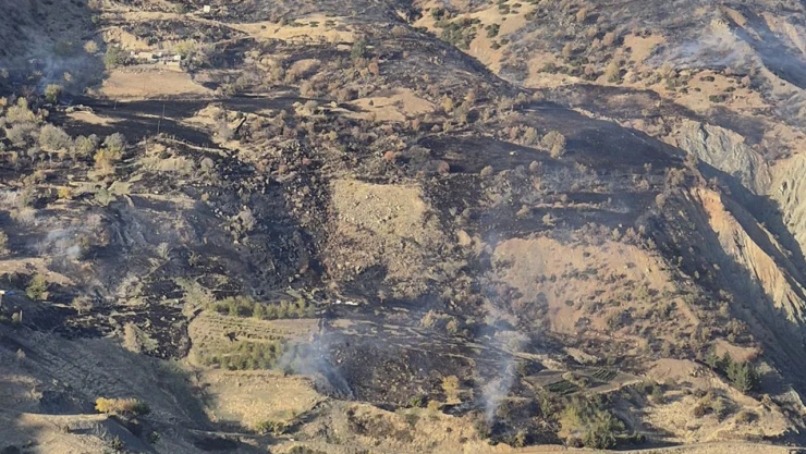 Kahramanmaraş'ta çıkan orman yangın!