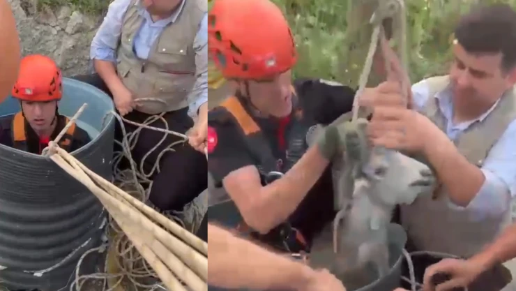 Kahramanmaraş'ta drenaj hattına düşen keçi itfaiye ekipleri tarafından kurtarıldı