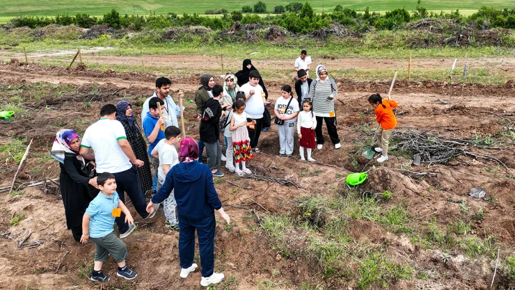 Kahramanmaraş'ta engelsiz orman projesi hayata geçirildi