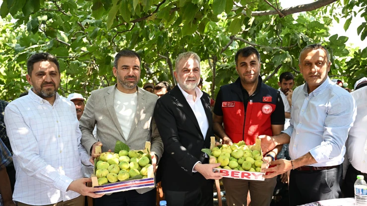 Kahramanmaraş'ta incir üreticisine tam destek!