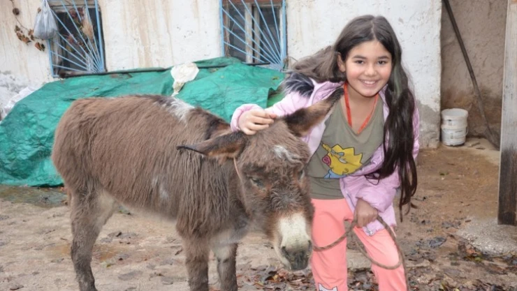 Kahramanmaraş'ta işkence edilen eşek 10 yaşındaki çocuğa verildi