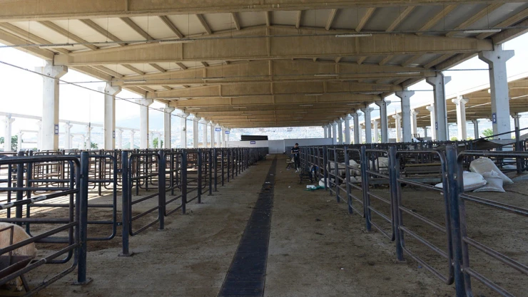 Kahramanmaraş'ta kurban satış yerleri kiralama işlemi 15 Mayıs'ta başlıyor