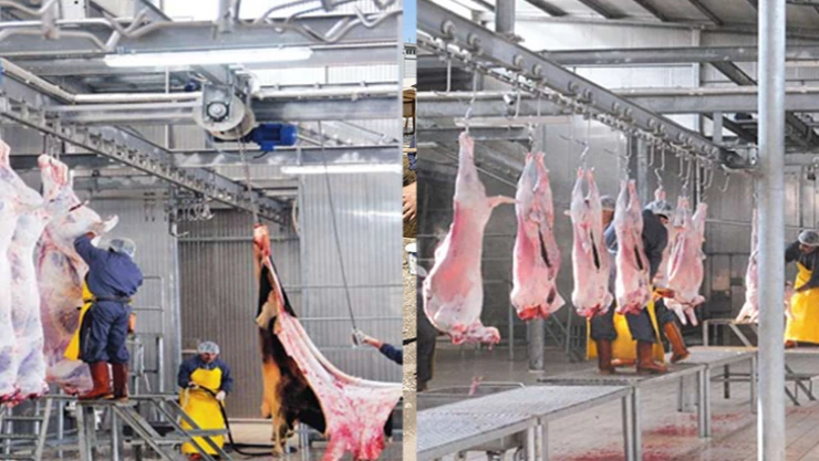 Kahramanmaraş'ta kurbanlık satış ve kesim yerleri belli oldu