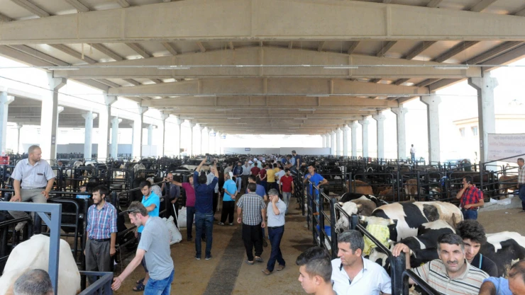 Kahramanmaraş'ta kurbanlık satış fiyatları belli oldu