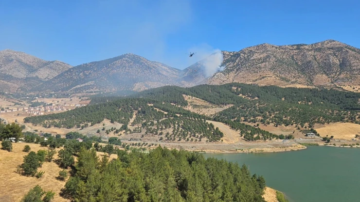 Kahramanmaraş'ta orman yangını başladı