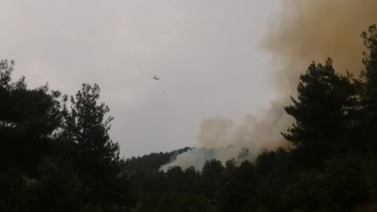Kahramanmaraş'ta orman yangını başladı