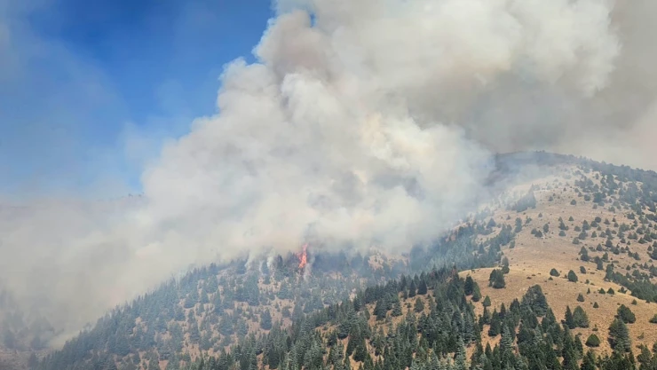 Kahramanmaraş'ta orman yangını! Havadan ve karadan müdahale başladı