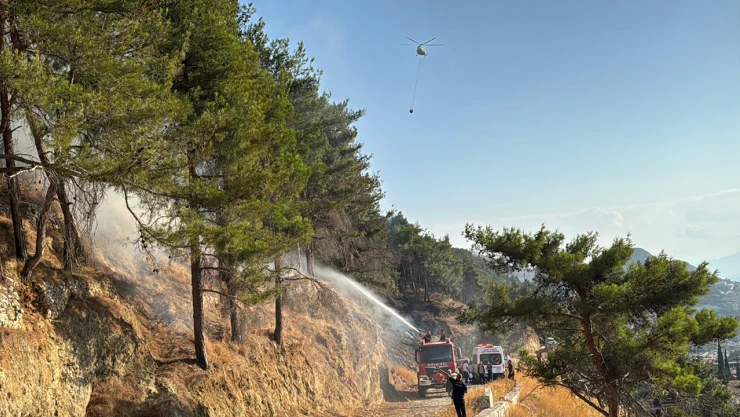 Kahramanmaraş'ta orman yangınına havadan ve karadan müdahale