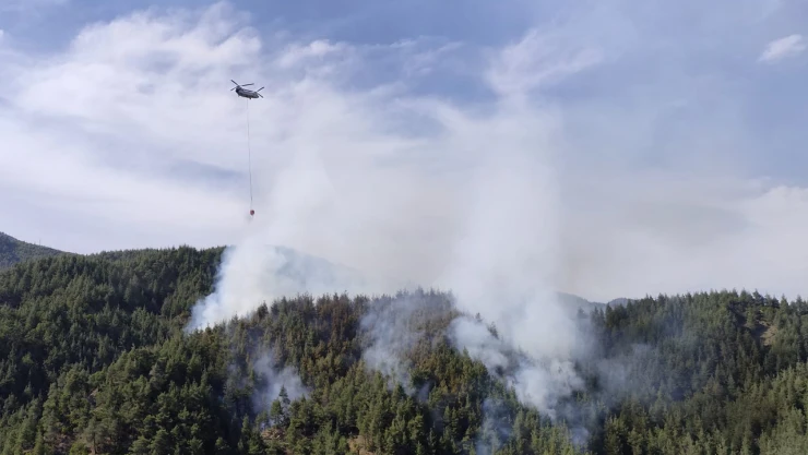 Kahramanmaraş'ta ormanlık alanda çıkan yangın kontrol altına alındı