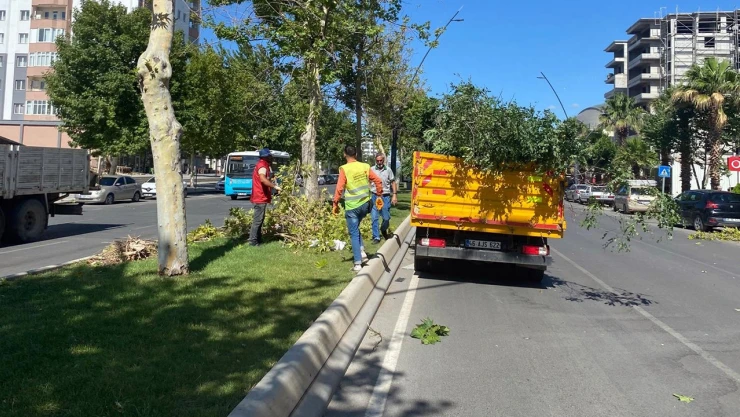 Kahramanmaraş'ta rüzgarın hızı 112 kilometreyi aştı