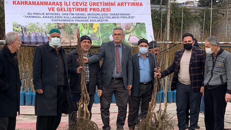 Kahramanmaraş'ta üreticilere 8 bin 119 adet ceviz fidanı dağıtıldı