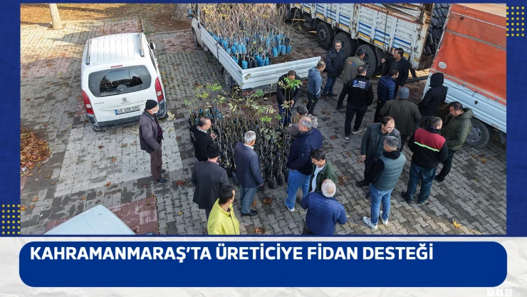 Kahramanmaraş'ta üreticiye fidan desteği