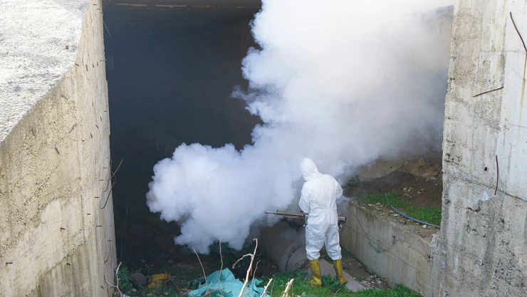 Kahramanmaraş'ta vektör zararlılarla mücadele sürüyor