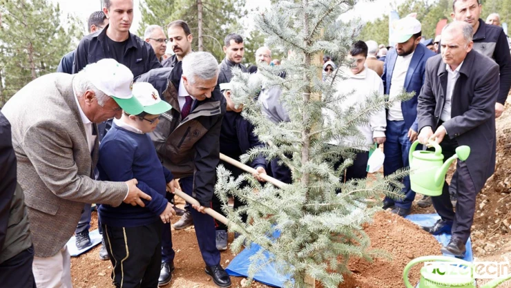 Kahramanmaraş'ta yanan ormanlık alan yeşile dönüyor