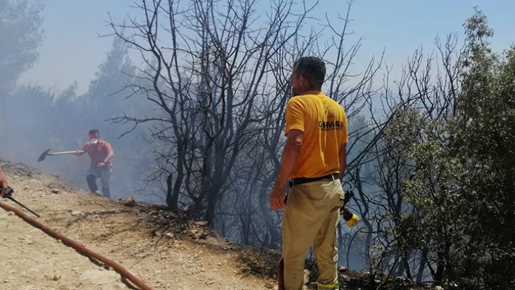 Kahramanmaraş'ta yangın çıktı