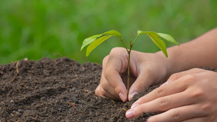 Kahramanmaraş'ta yeşil seferberlik