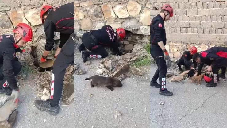 Kahramanmaraş'ta yürek ısıtan kurtarma operasyonu