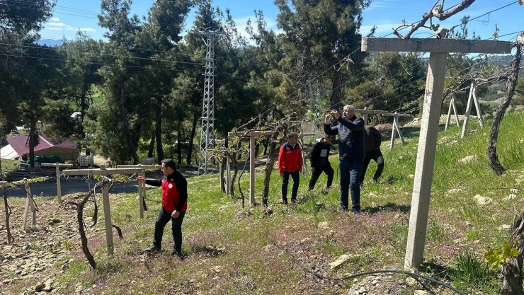Kahramanmaraş'ta zirai don felaketi