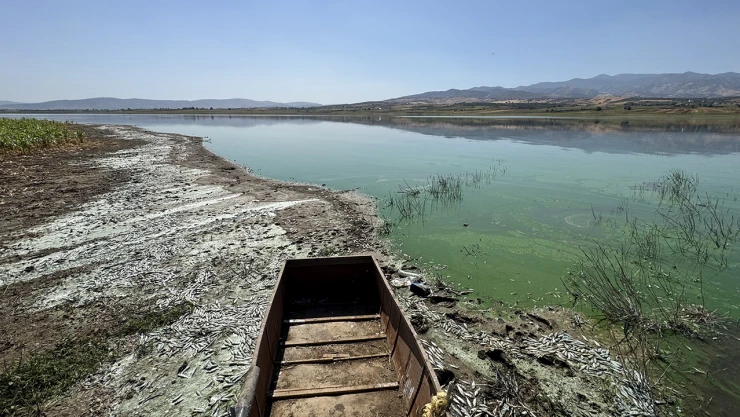 Kahramanmaraş'taki balık ölümleri araştırılıyor
