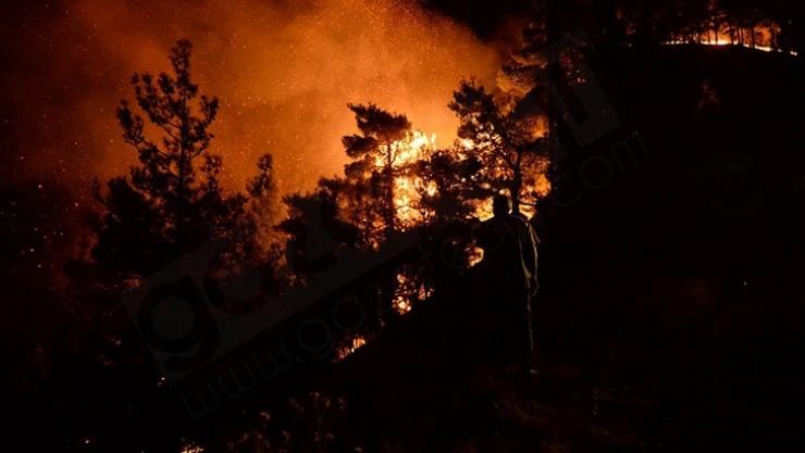 Kahramanmaraş'taki orman yangını sürüyor