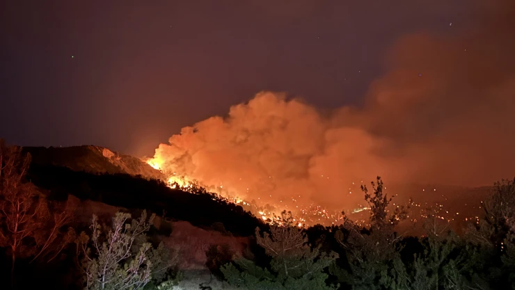Kahramanmaraş'taki orman yangınında 18 ev boşaltıldı, 3 ev yandı