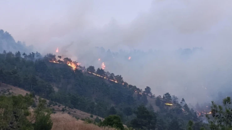 Kahramanmaraş'taki orman yangınına müdahale ikinci gününde sürüyor