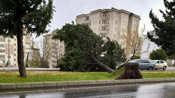 Kahramanmaraş Valiliği'nden vatandaşlara dikkatli olun çağrısı