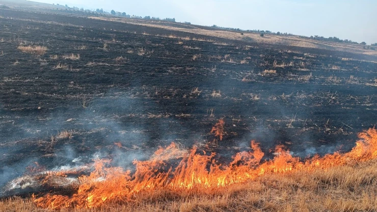 Kahramanmaraşlı çiftçilerin dikkatine! Anız yangınlarına ceza