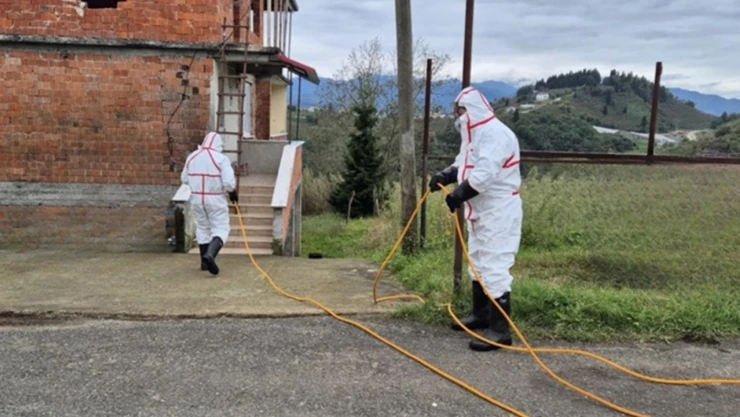 Kahverengi kokarcaya karşı seferberlik, 1 milyondan fazla hane ilaçlandı