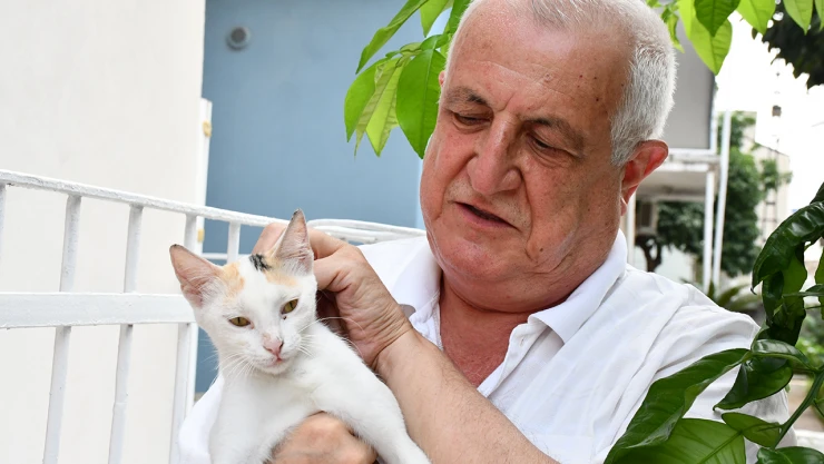 Kalbini açtığı 8 kediye, evinin bahçesine koyduğu kulübelerde bakıyor
