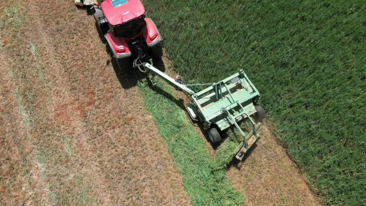 Kaliteli hayvan yemi üretiminde önemli bir adım