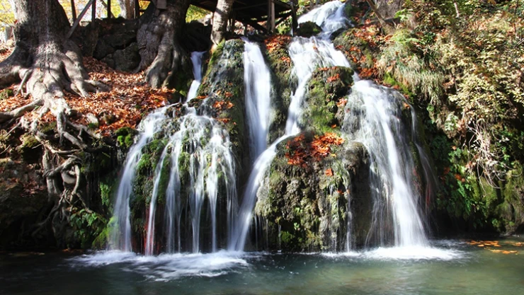 KAMEK'te öğreniyor, doğada pratik yapıyorlar