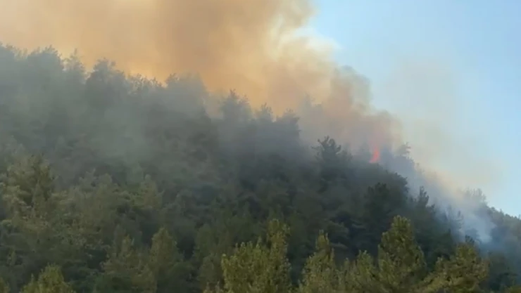 Karabük'te çıkan orman yangınına müdahale ediliyor