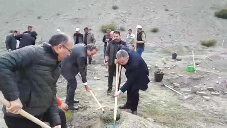 KASİAD Hatıra Ormanı Projesi'nde fidanlar toprakla buluştu