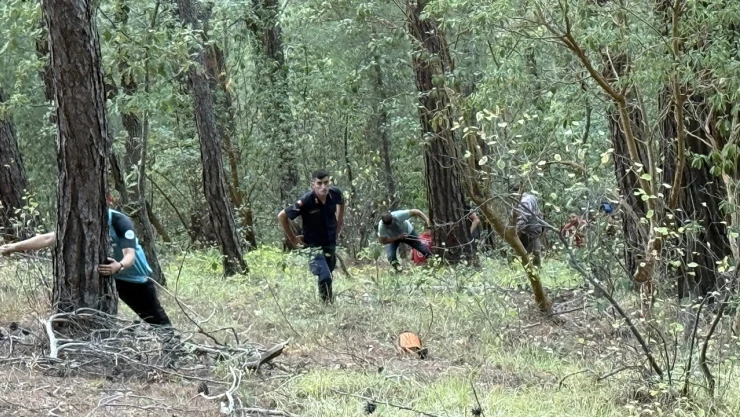 Kayalıklardan düşen kişi 4 saatlik operasyonla kurtarıldı