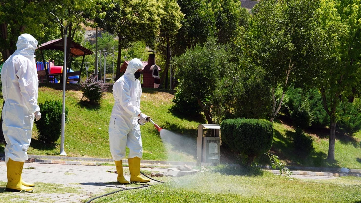 Kene tehdidine karşı Kahramanmaraş'ta önlemler arttırıldı