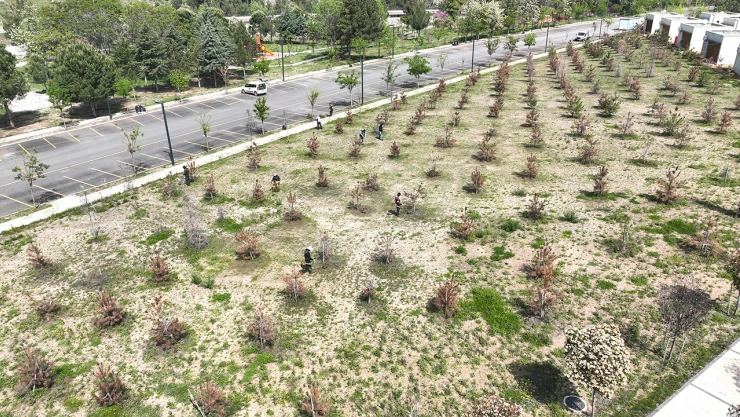 Kılavuzlu Millet Bahçesi sezona hazırlanıyor