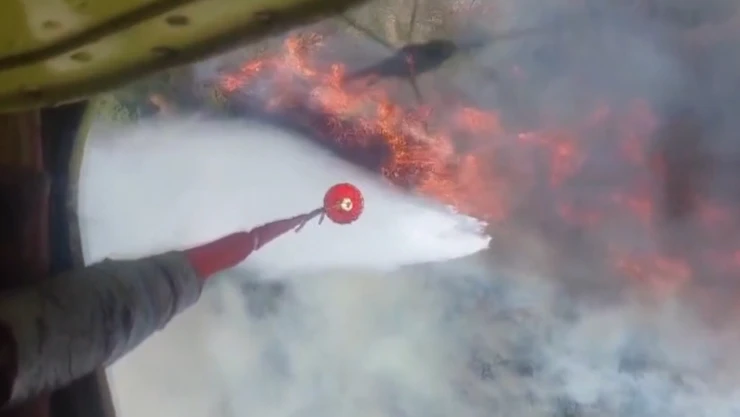 Kontrol altına alınan orman yangını yeniden başladı