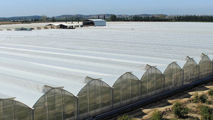 Kooperatiflere verilen desteklerde tarihi artış!