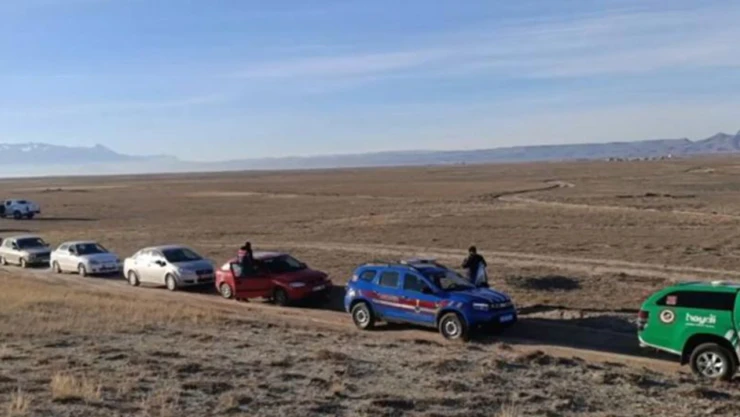 Köpek dövüşü operasyonu