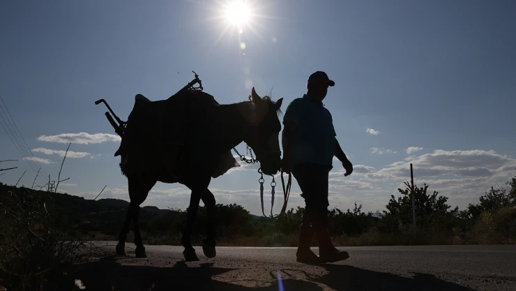 Köroğlu ismini verdiği bir gözü görmeyen atıyla bahçeleri sürüyor